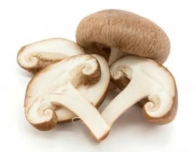Intl Mushroom